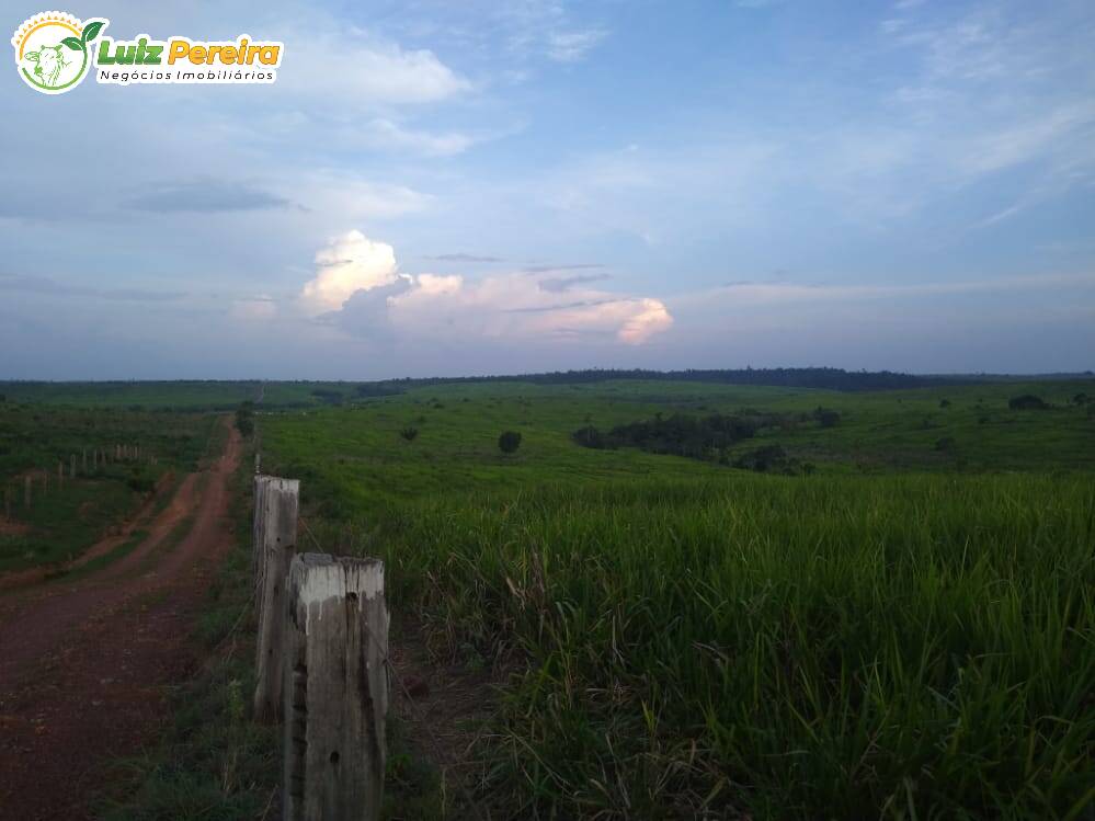 Fazenda à venda, 36300000m² - Foto 8