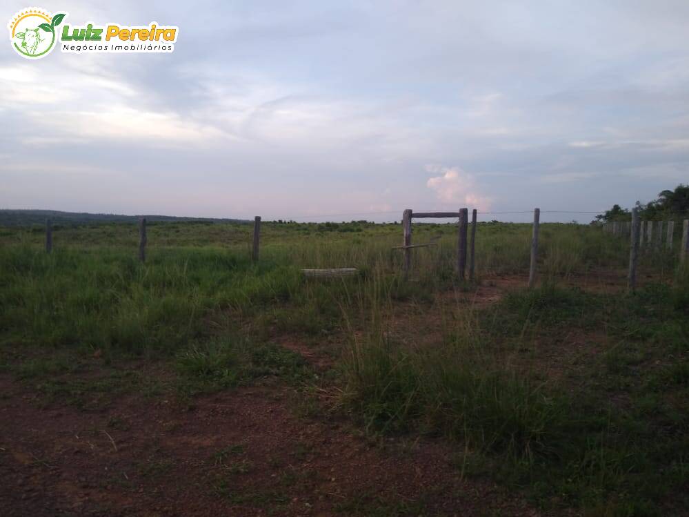 Fazenda à venda, 36300000m² - Foto 9