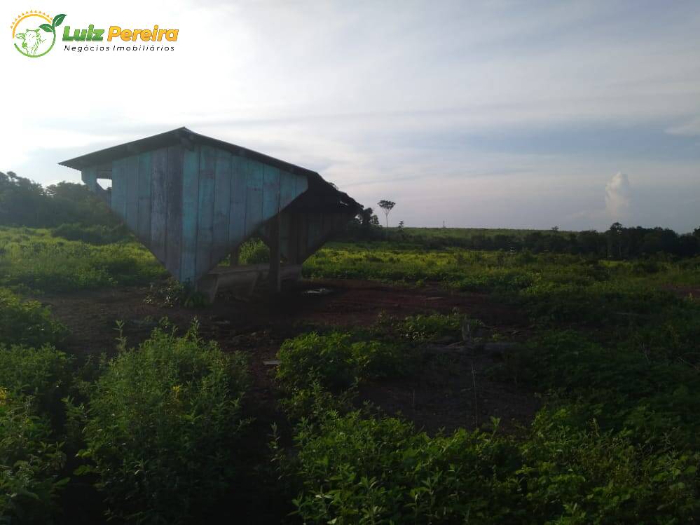 Fazenda à venda, 36300000m² - Foto 16