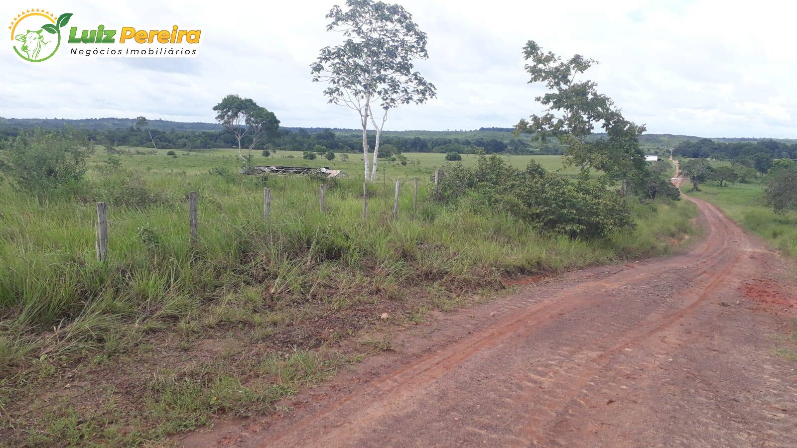 Fazenda à venda, 184020000m² - Foto 13