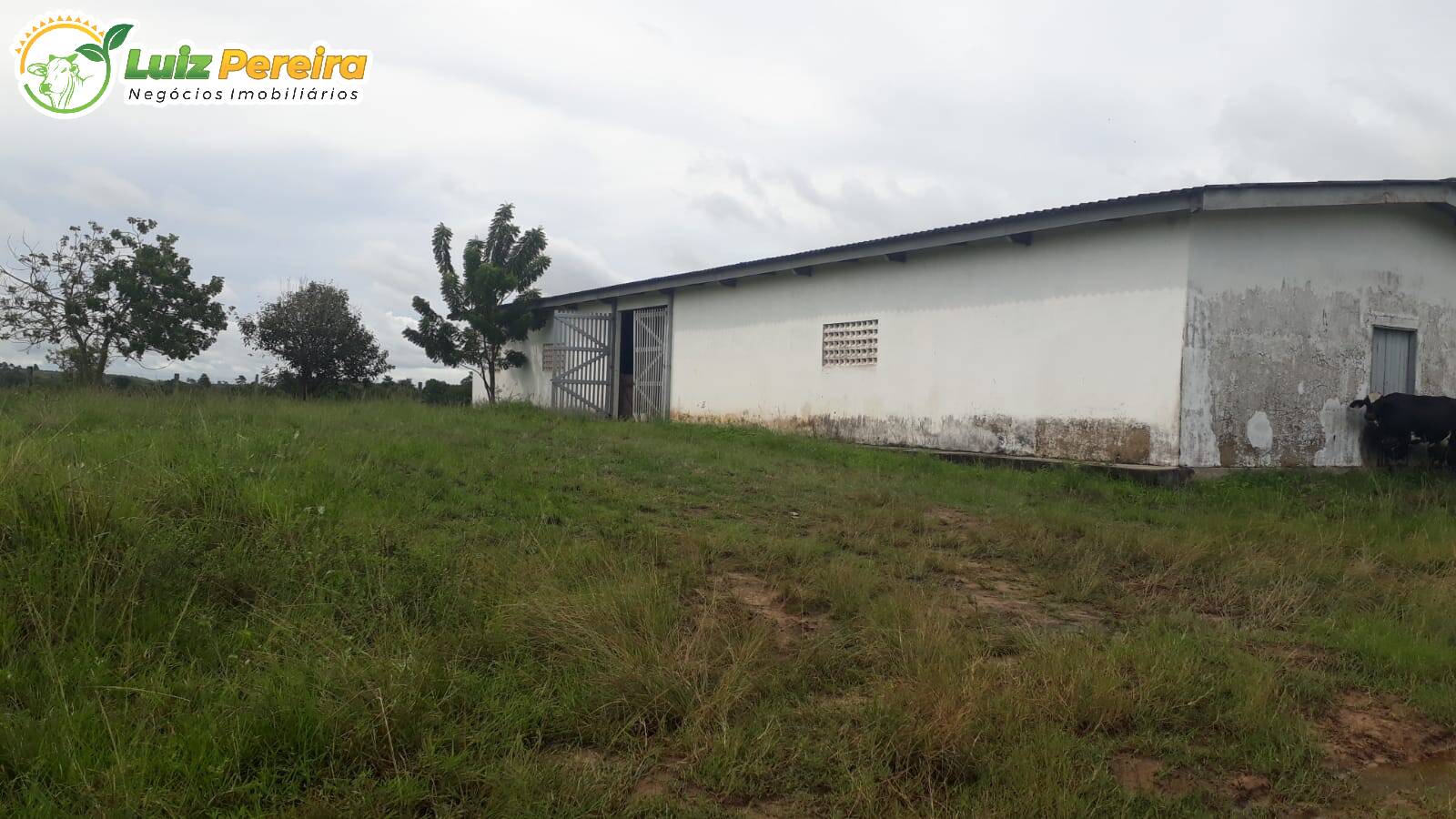 Fazenda à venda, 184020000m² - Foto 18