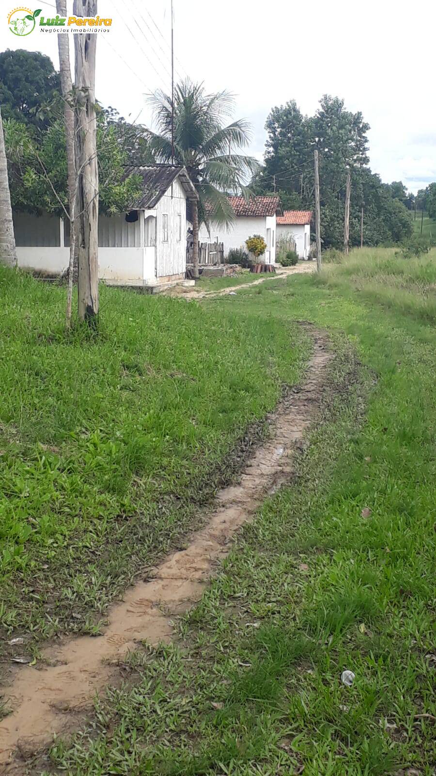 Fazenda à venda, 184020000m² - Foto 21