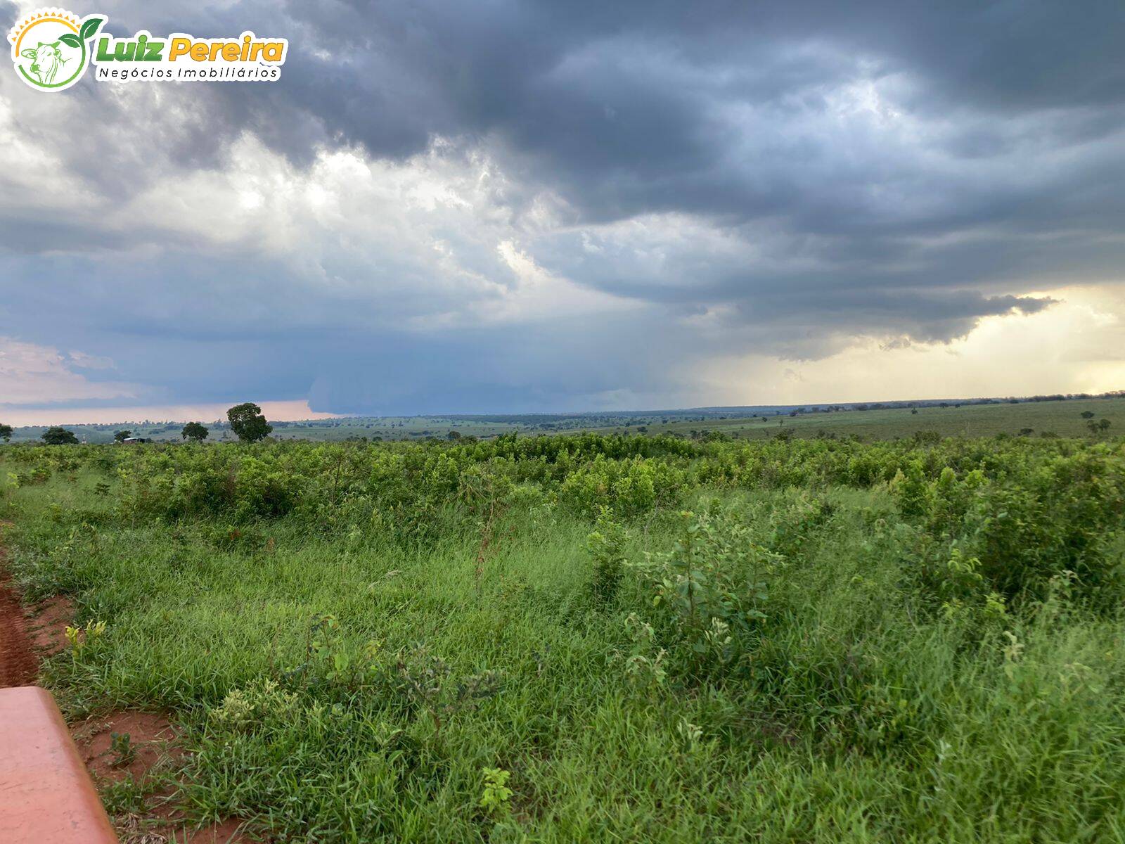 Fazenda à venda, 2347400m² - Foto 6