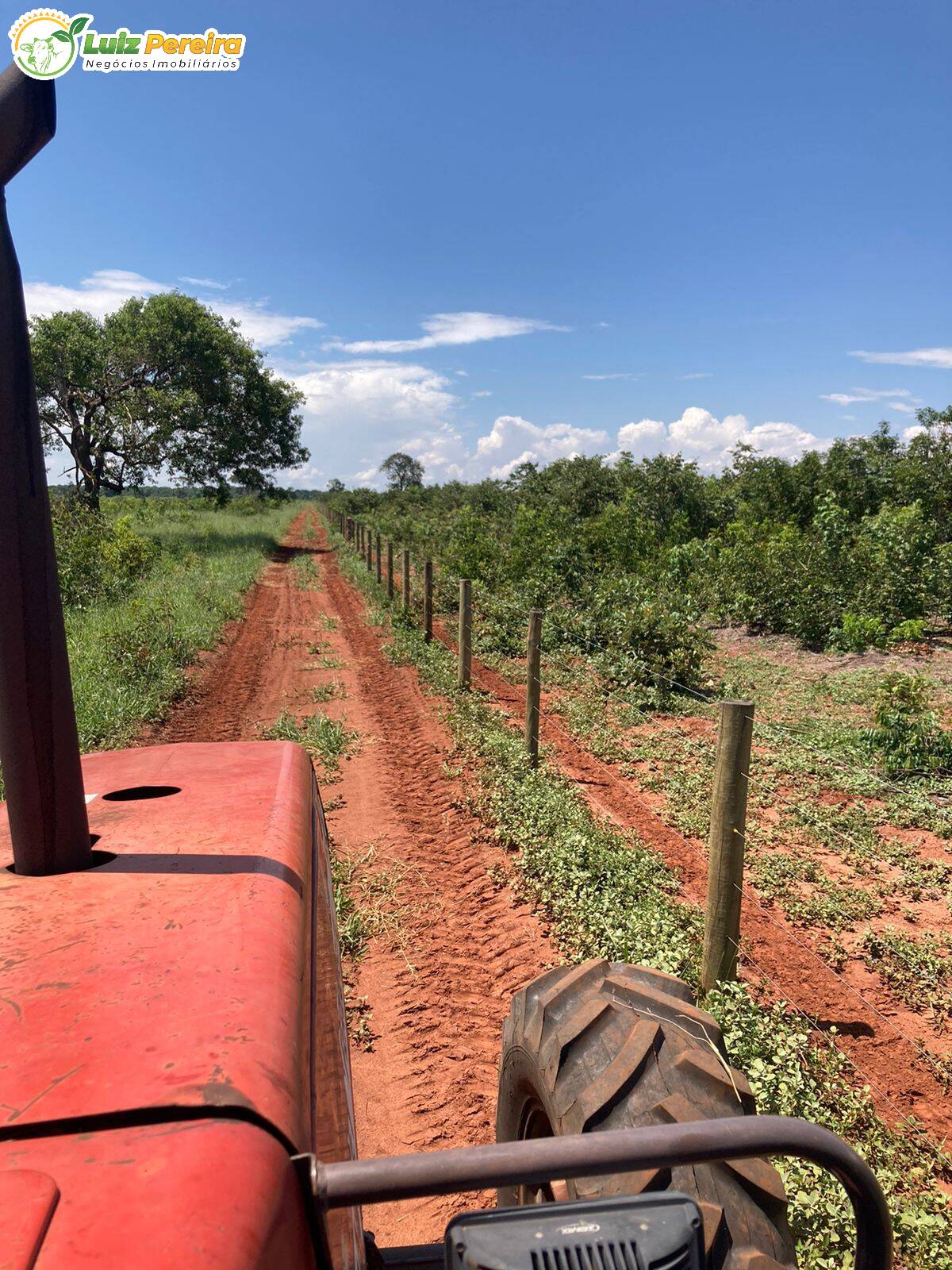 Fazenda à venda, 2347400m² - Foto 15