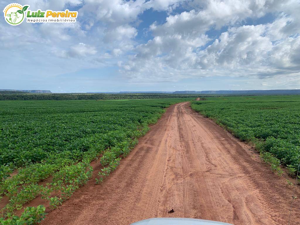 Fazenda à venda, 58000000m² - Foto 6