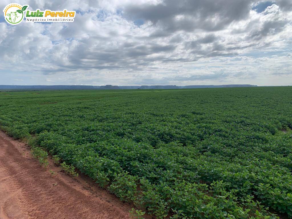 Fazenda à venda, 58000000m² - Foto 5