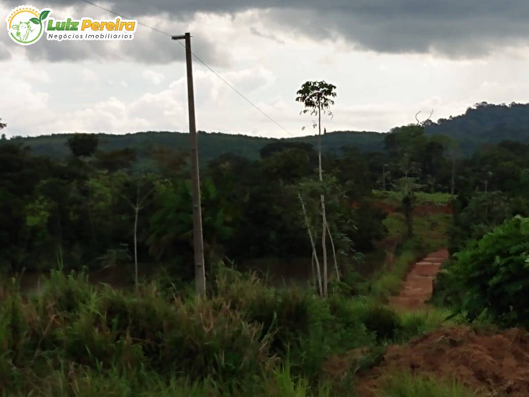 Fazenda à venda, 58080000m² - Foto 6