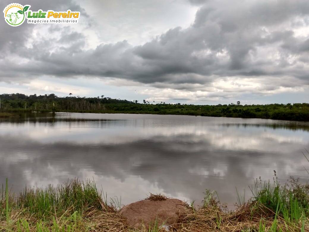 Fazenda à venda, 58080000m² - Foto 4