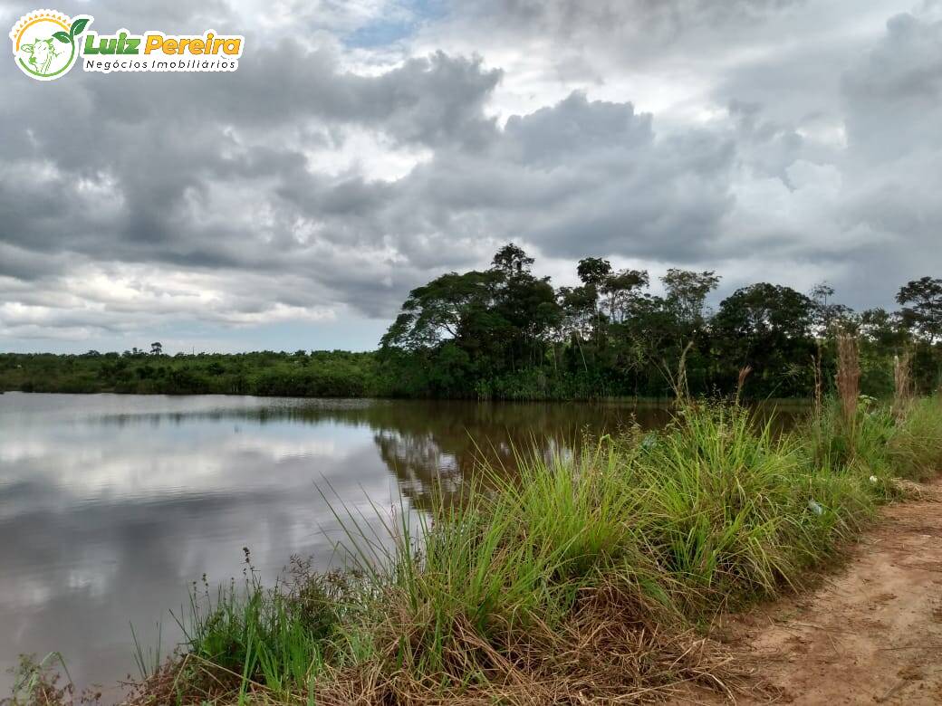 Fazenda à venda, 58080000m² - Foto 3