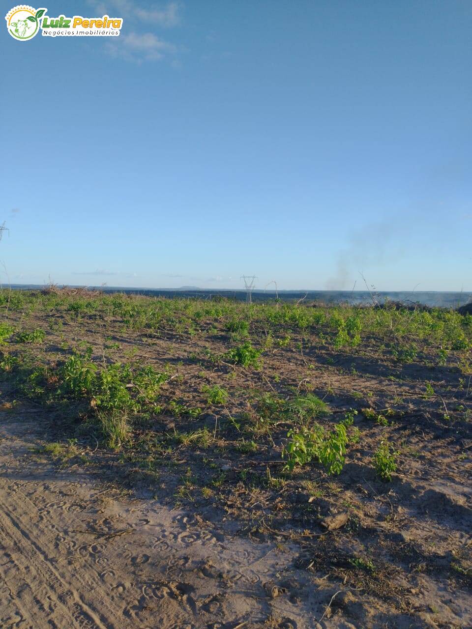 Fazenda-Sítio-Chácara, 935 hectares - Foto 3