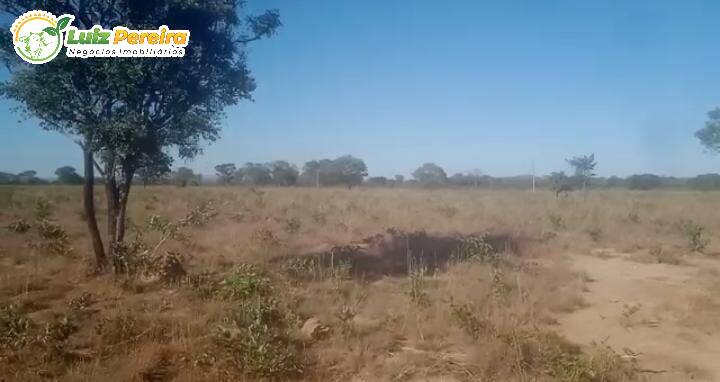 Fazenda à venda, 9350000m² - Foto 6