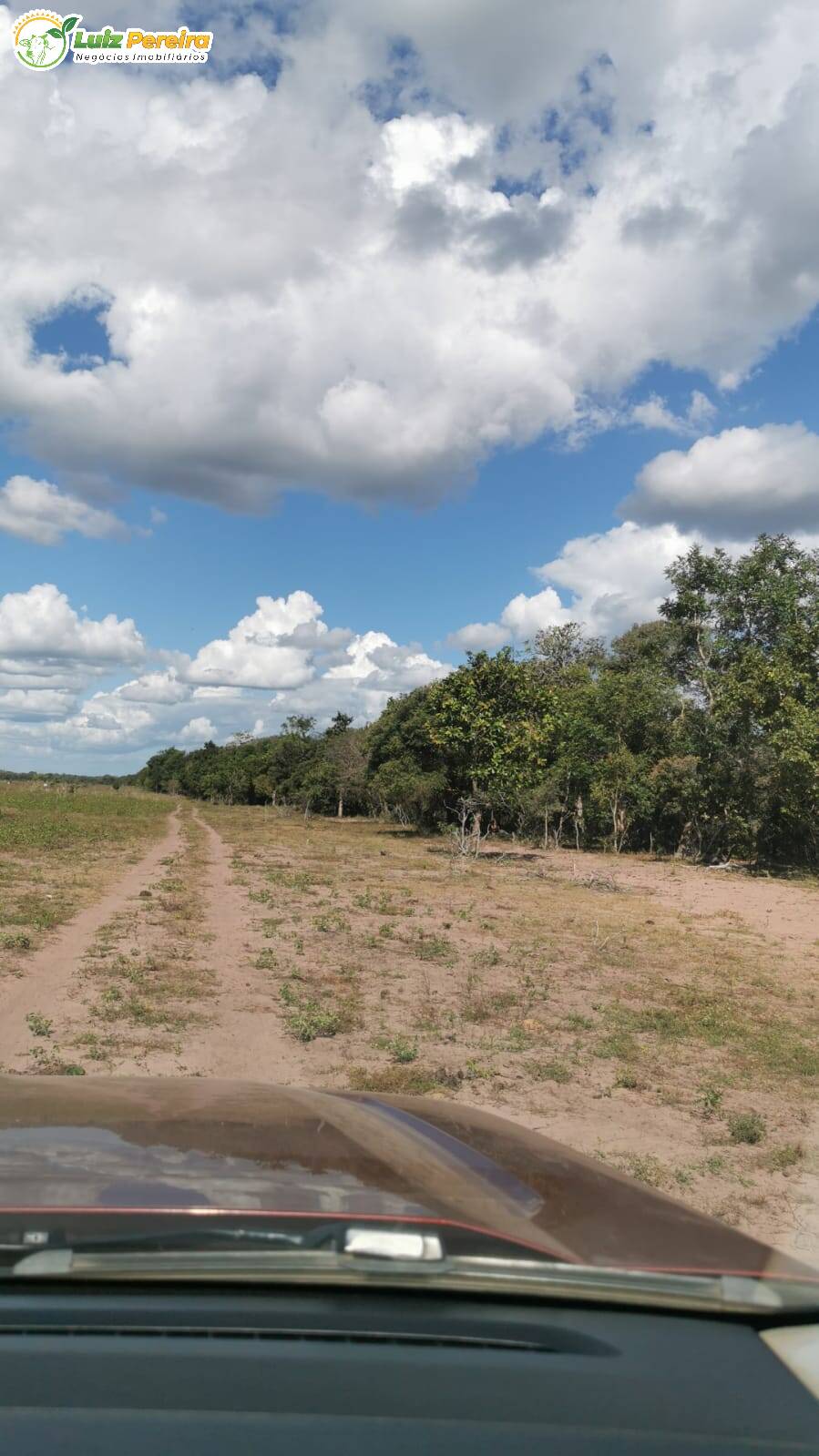 Fazenda-Sítio-Chácara, 240 hectares - Foto 3