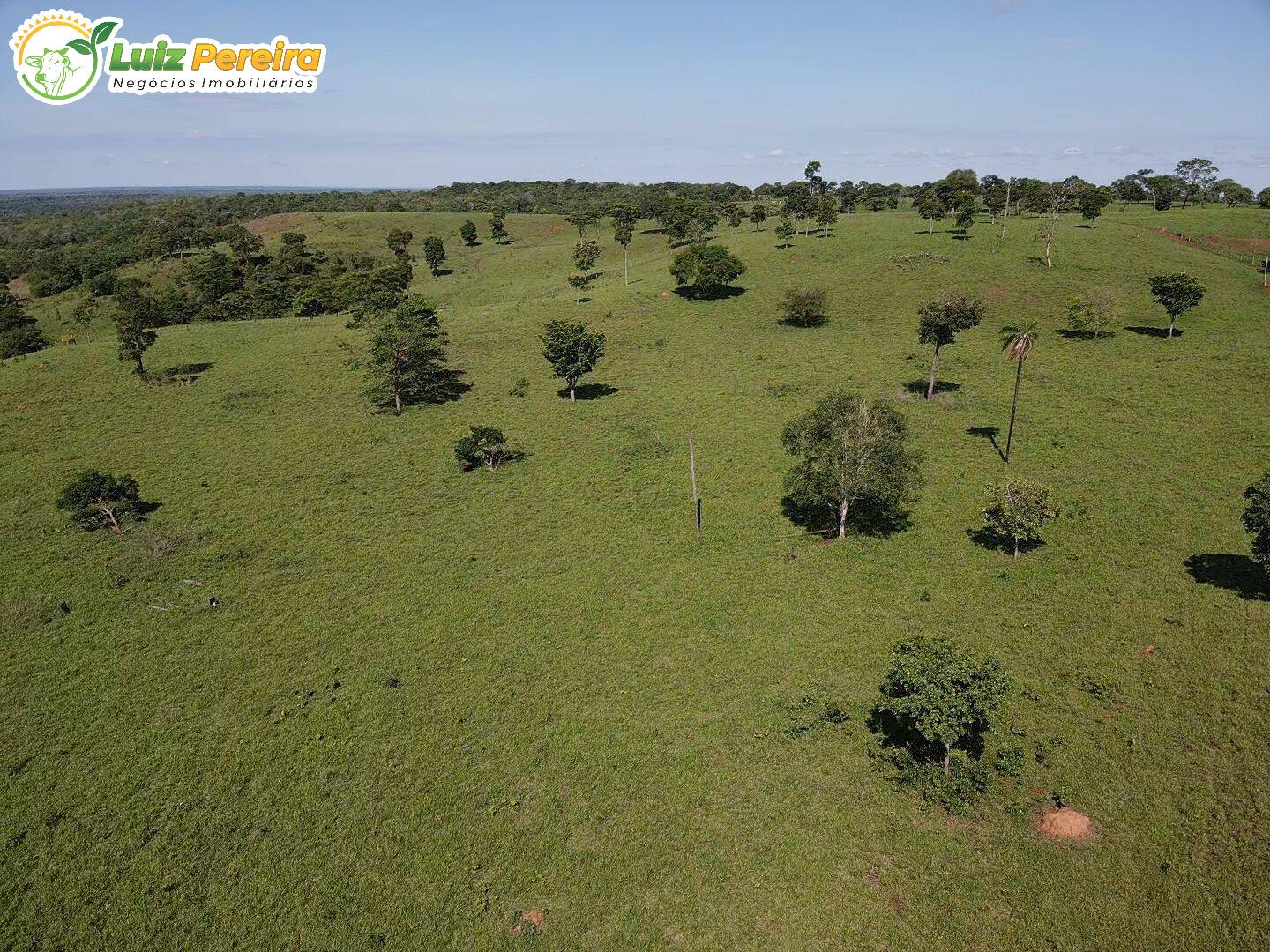 Fazenda-Sítio-Chácara, 1273 hectares - Foto 3