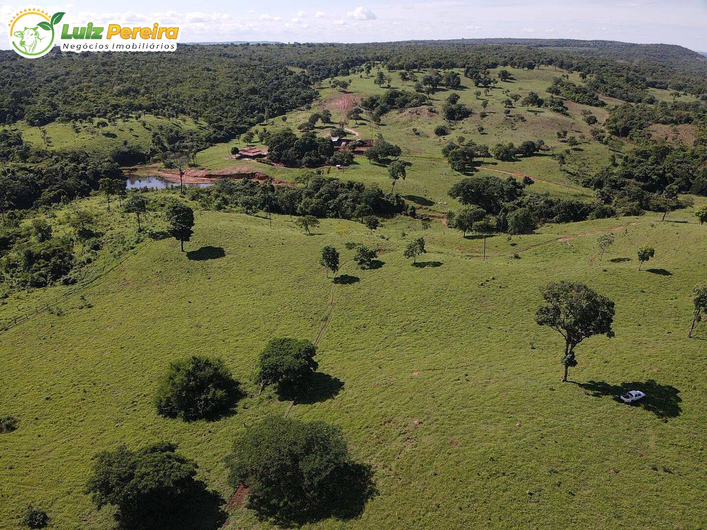 Fazenda-Sítio-Chácara, 1273 hectares - Foto 4