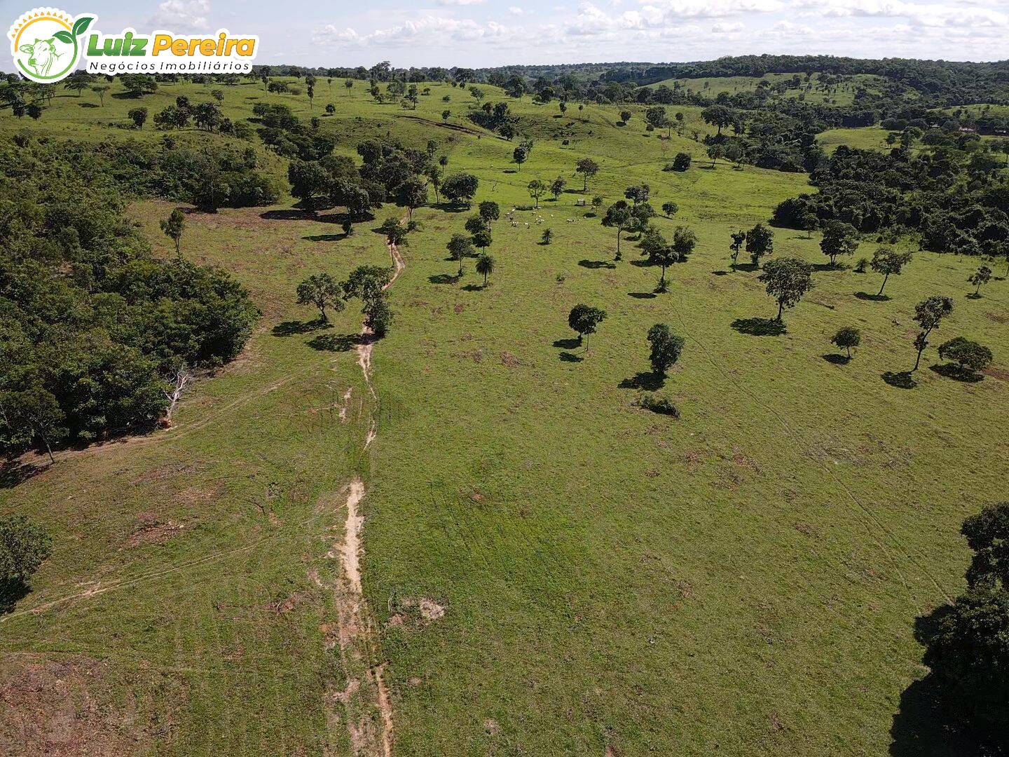 Fazenda-Sítio-Chácara, 1273 hectares - Foto 1