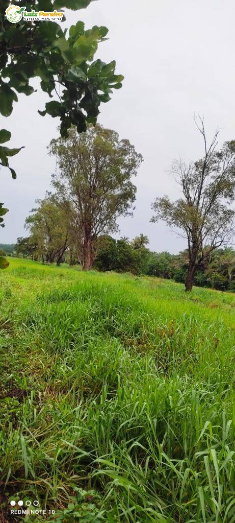 Fazenda à venda, 27442800m² - Foto 10