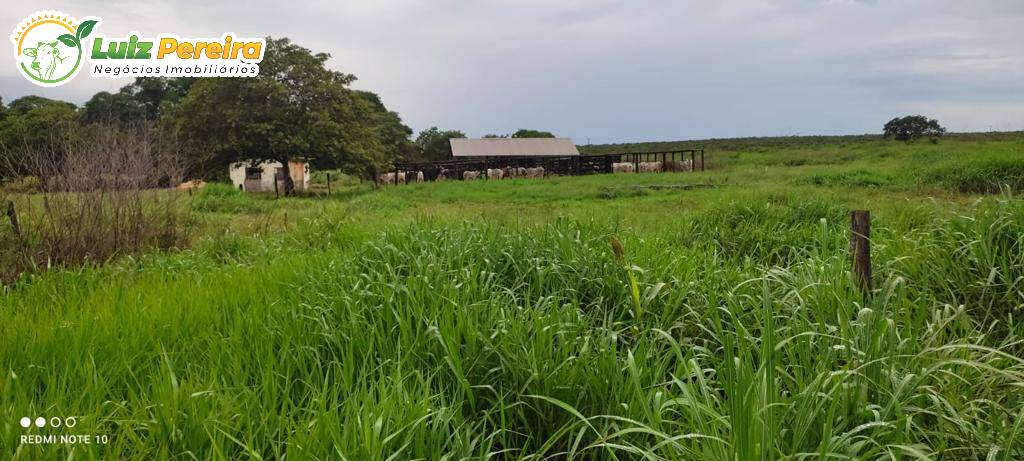 Fazenda à venda, 27442800m² - Foto 5