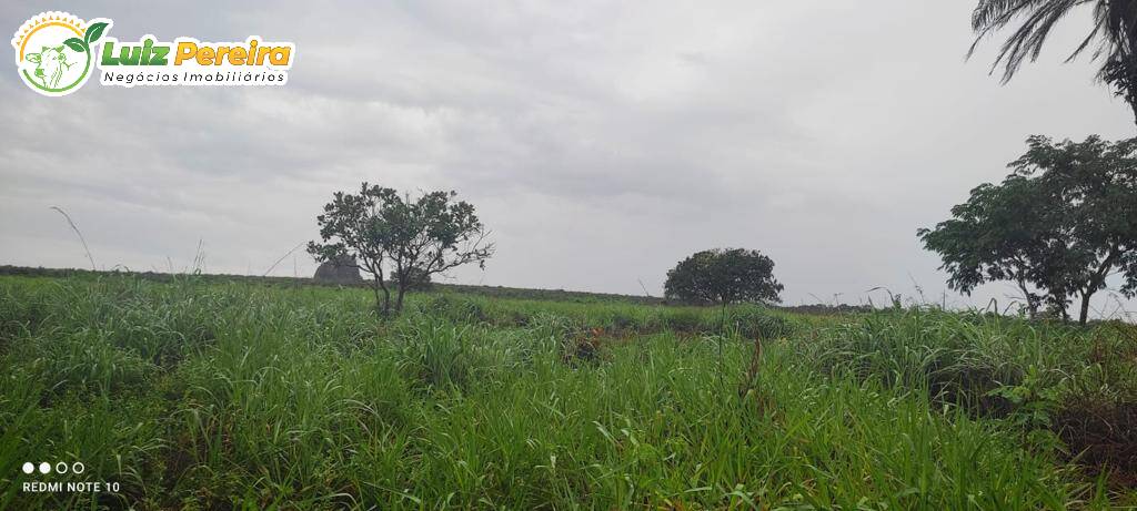 Fazenda à venda, 27442800m² - Foto 11