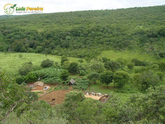 Fazenda-Sítio-Chácara, 1665 hectares - Foto 1