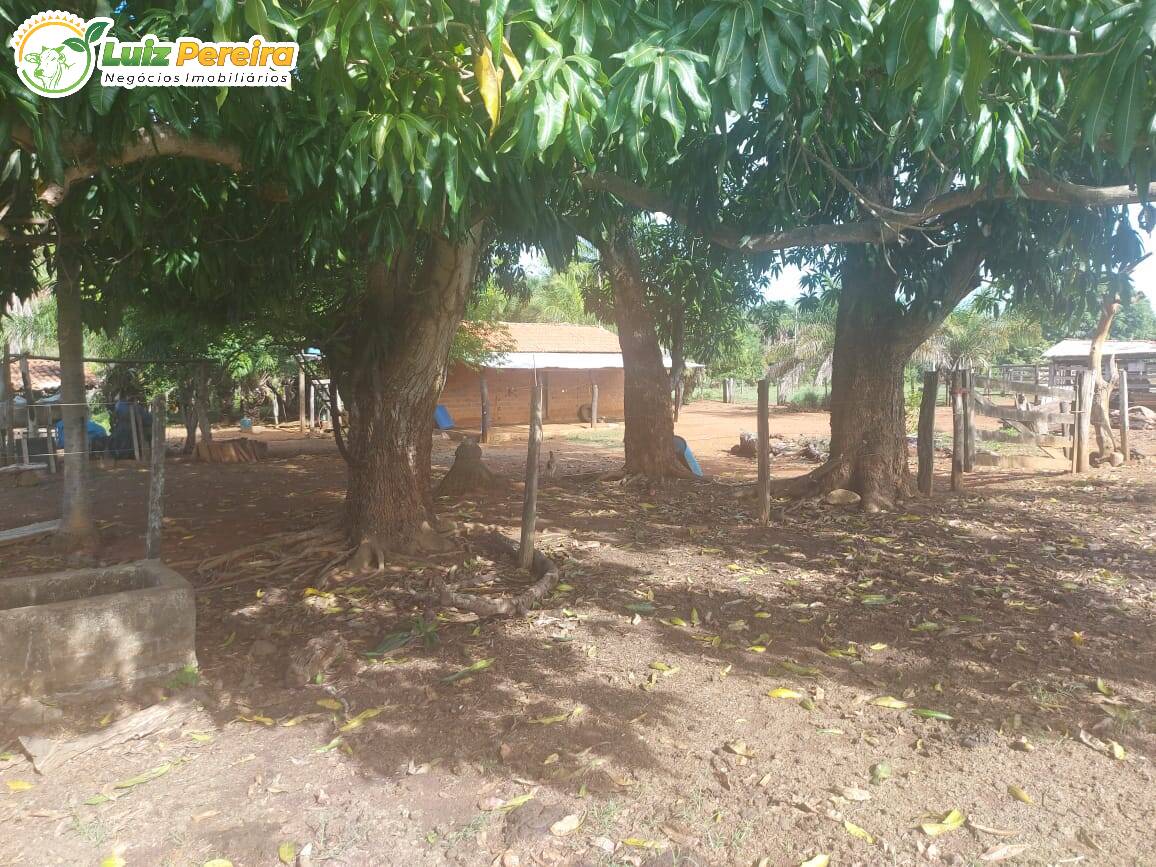 Fazenda à venda, 2274800m² - Foto 13