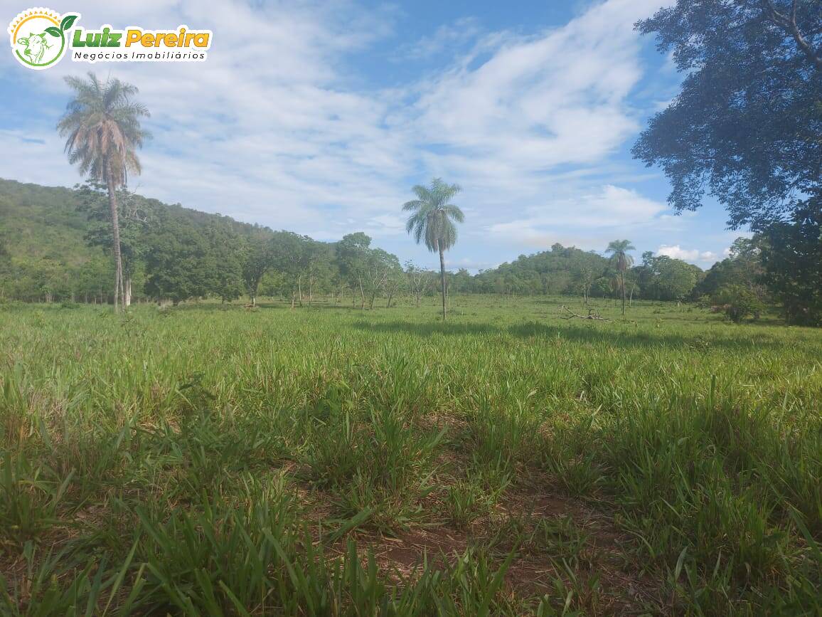 Fazenda à venda, 2274800m² - Foto 12