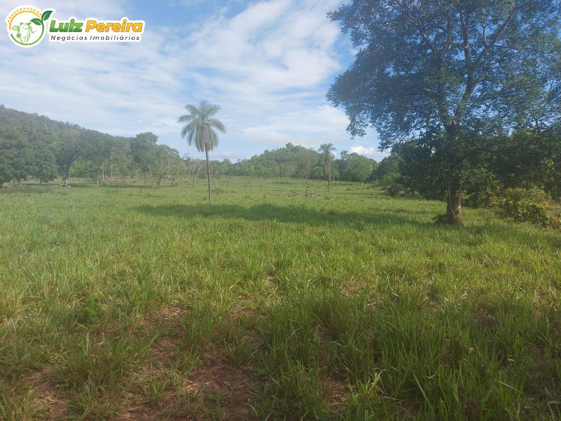 Fazenda à venda, 2274800m² - Foto 10