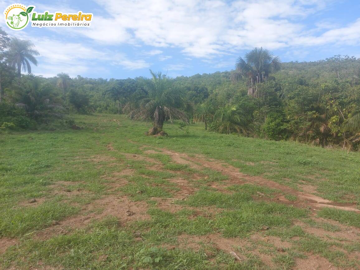 Fazenda à venda, 2274800m² - Foto 11