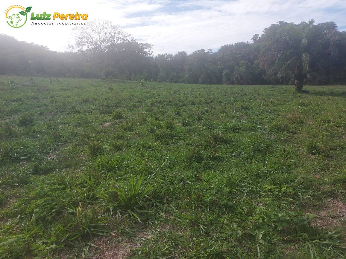 Fazenda à venda, 2274800m² - Foto 6