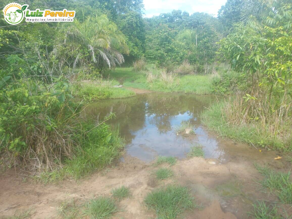 Fazenda à venda, 2274800m² - Foto 3