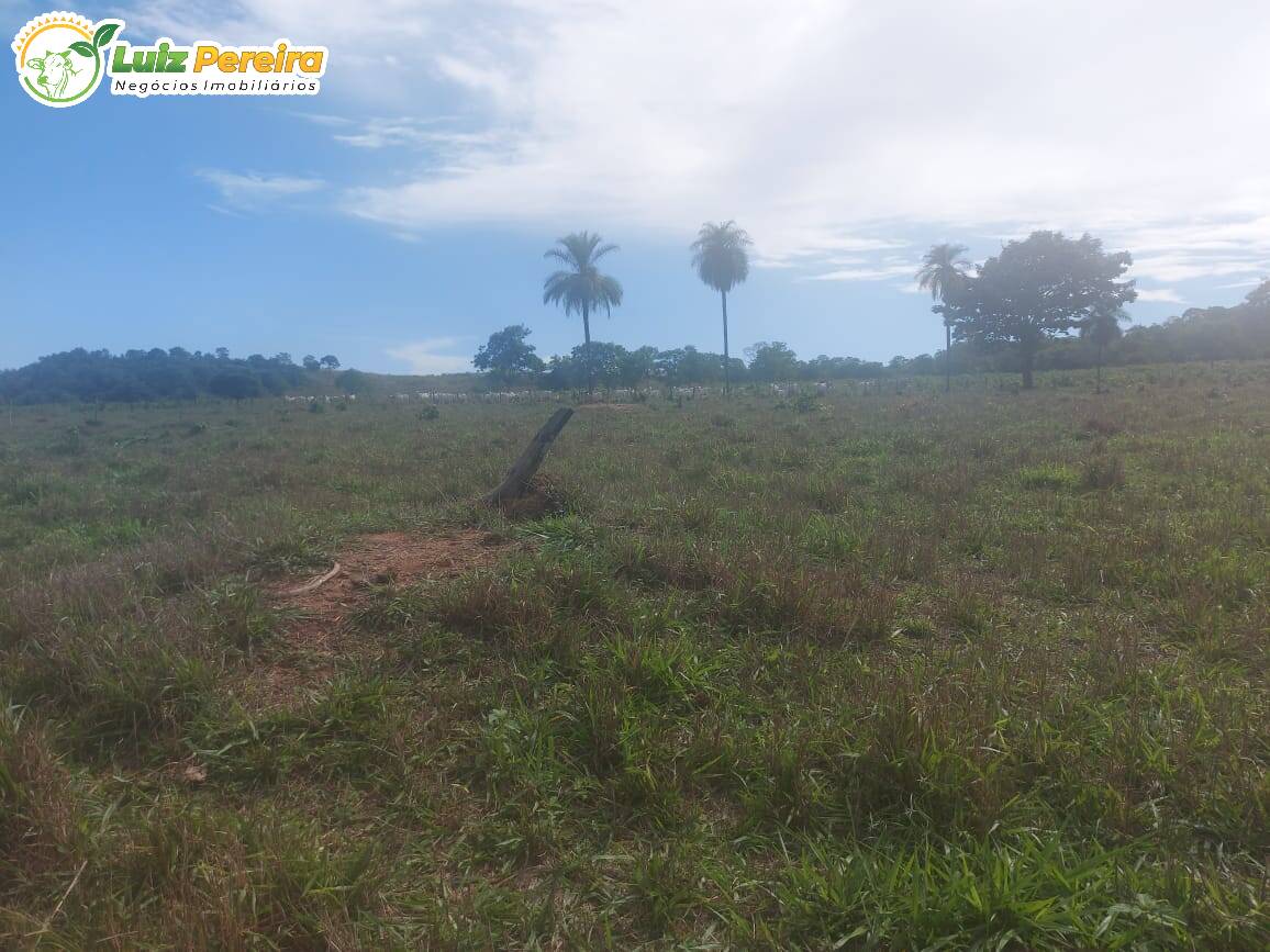 Fazenda à venda, 2274800m² - Foto 5