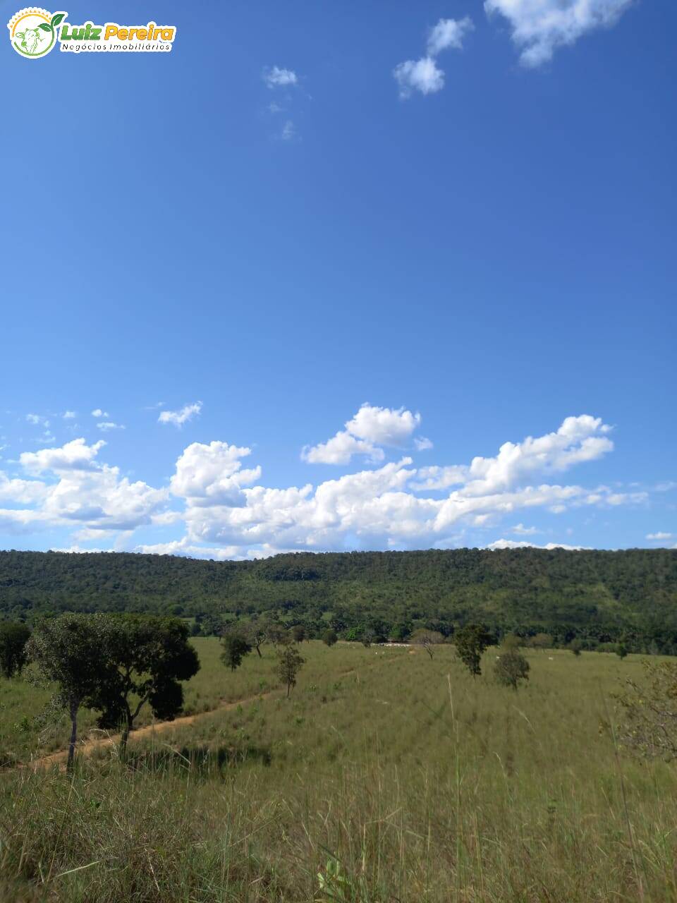 Fazenda à venda, 2274800m² - Foto 2