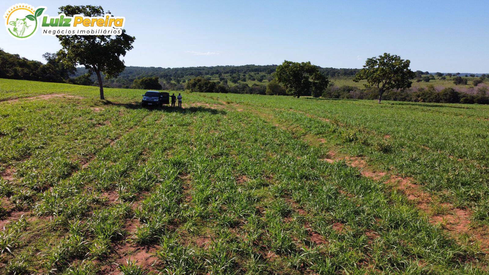 Fazenda à venda, 6790000m² - Foto 5