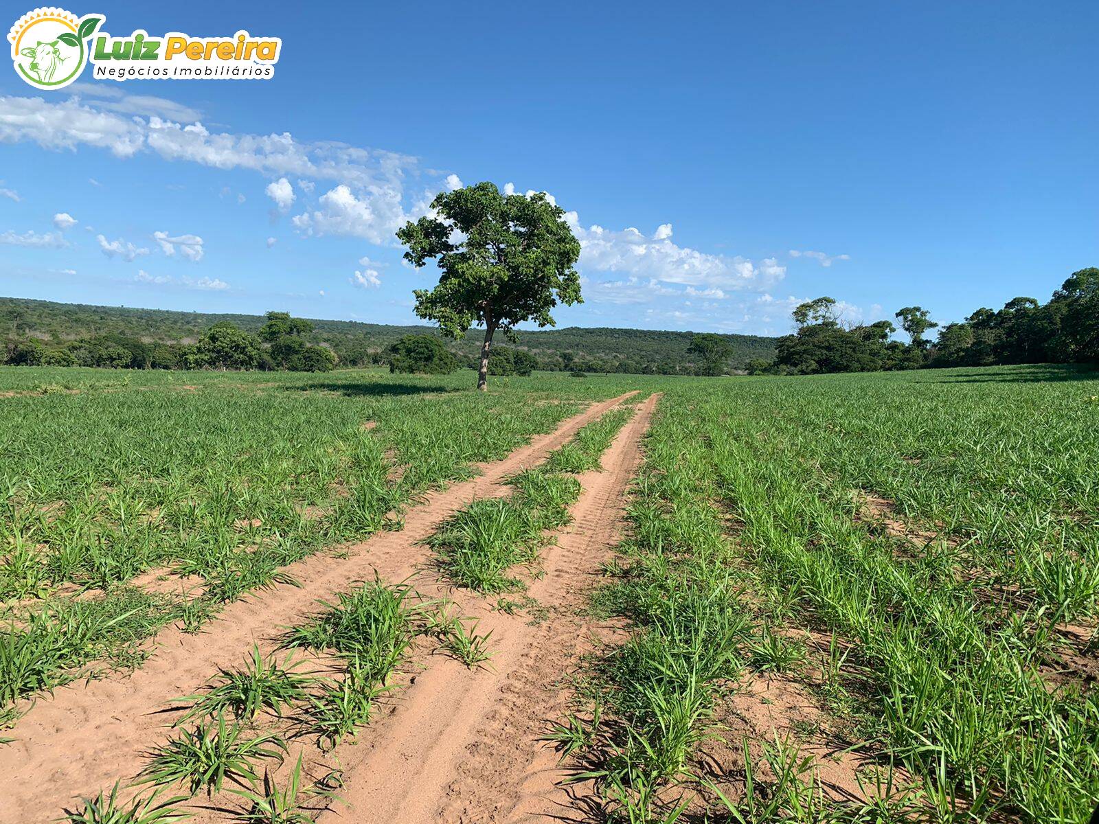 Fazenda à venda, 6790000m² - Foto 9