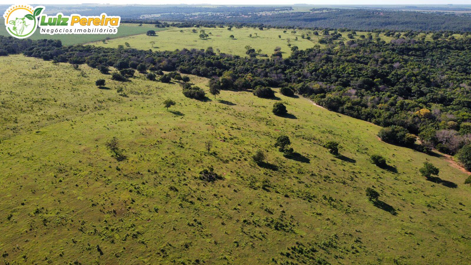 Fazenda à venda, 6790000m² - Foto 3