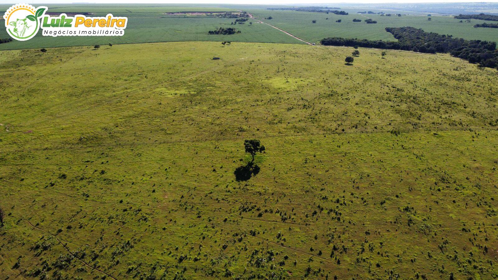 Fazenda à venda, 6790000m² - Foto 6