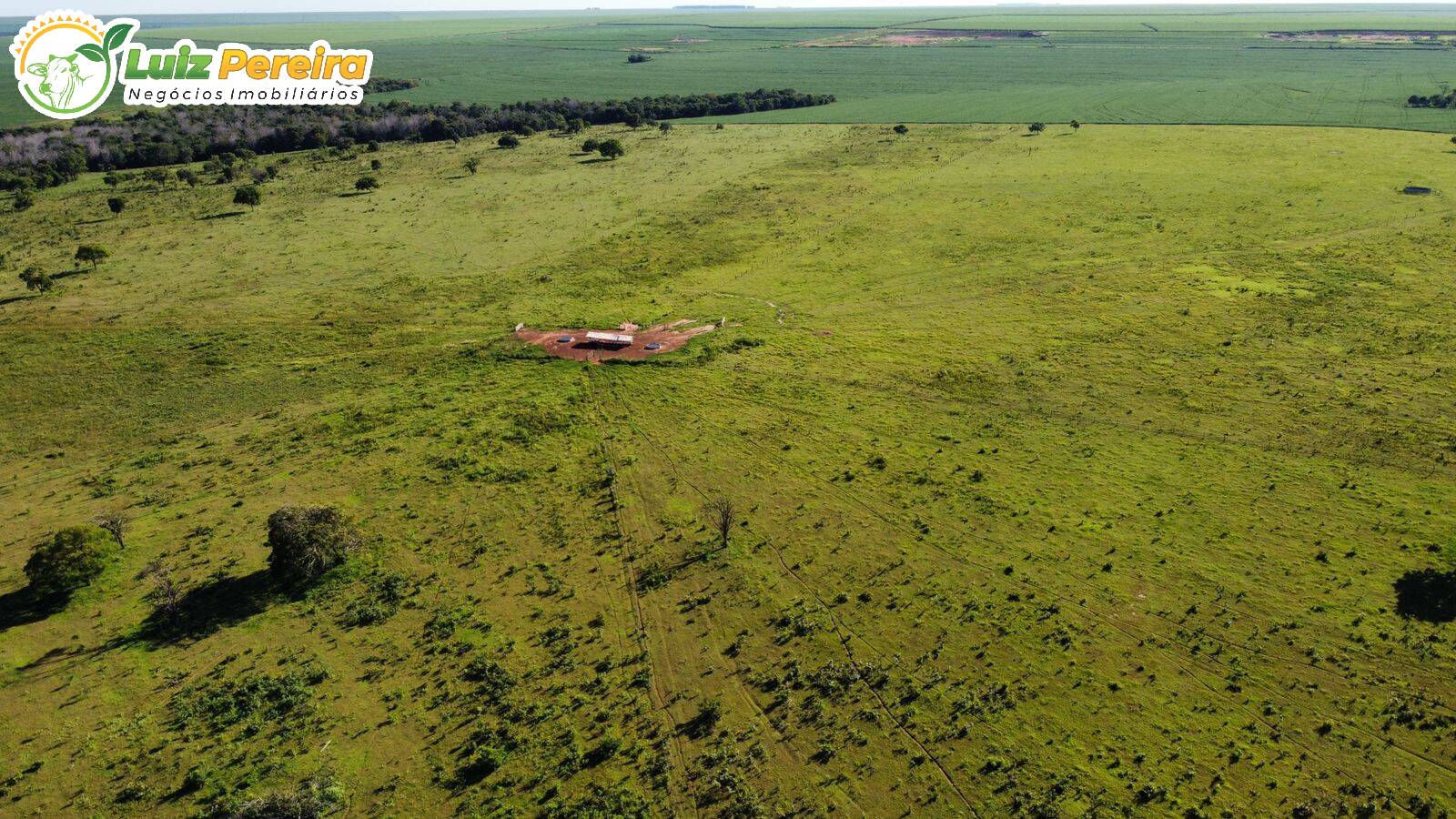 Fazenda à venda, 6790000m² - Foto 2