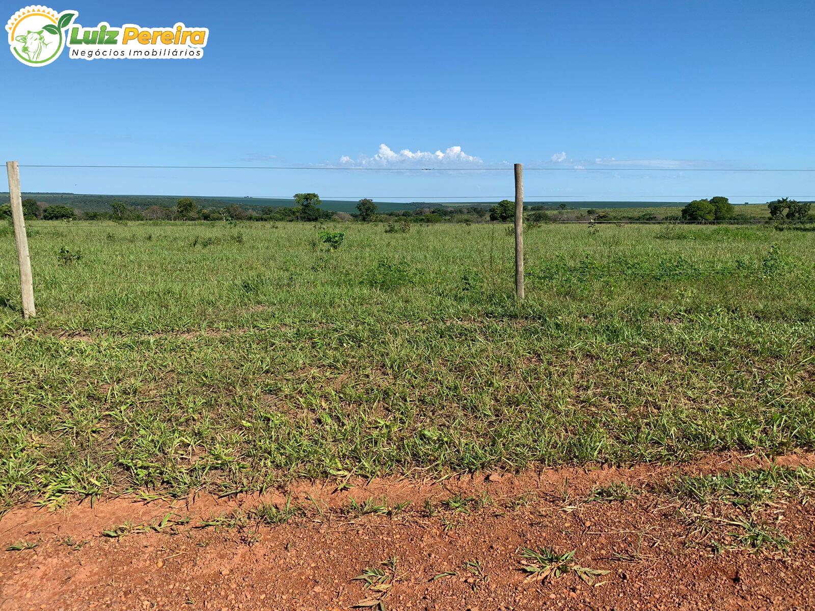 Fazenda à venda, 6790000m² - Foto 8