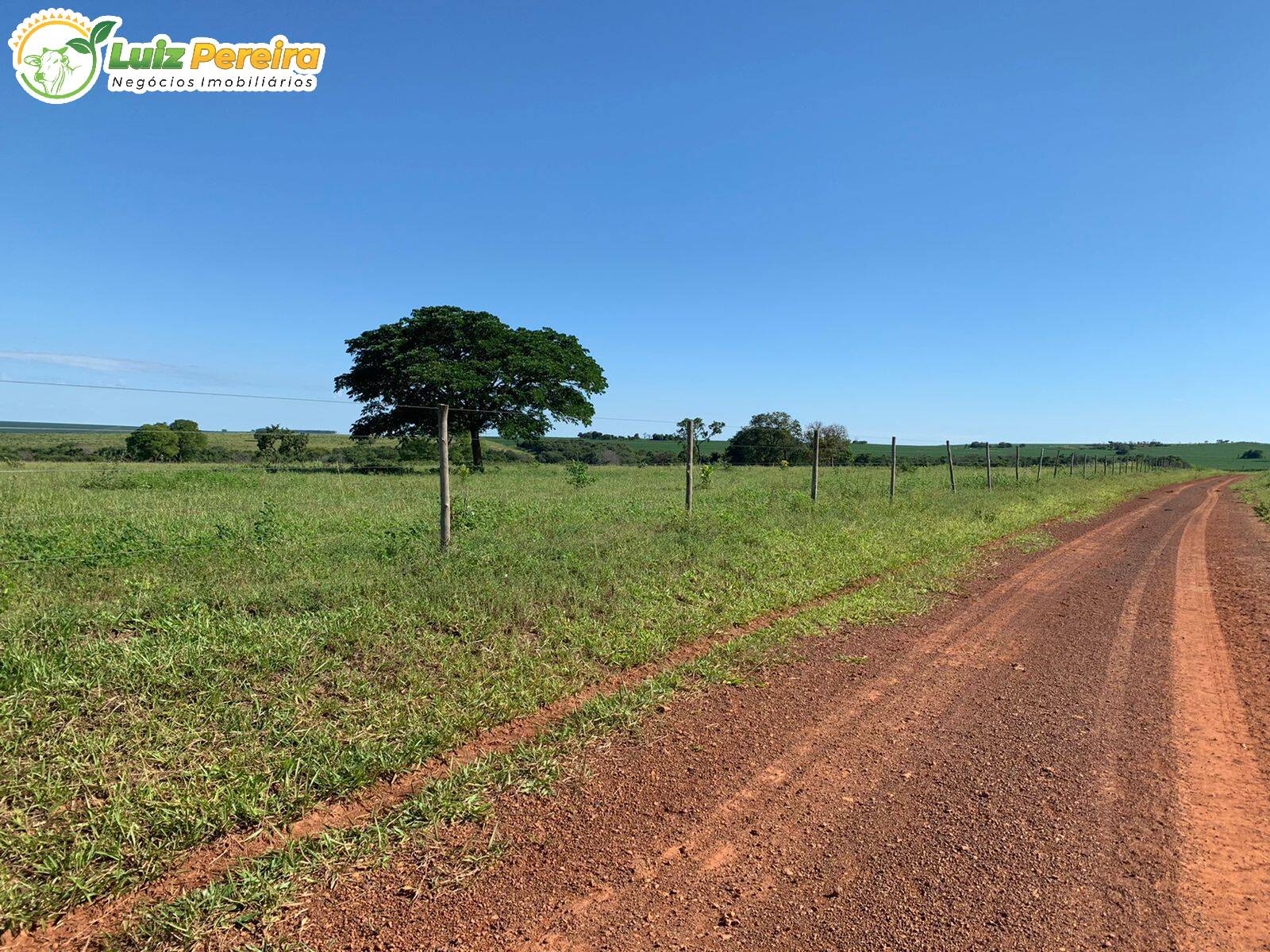 Fazenda à venda, 6790000m² - Foto 10