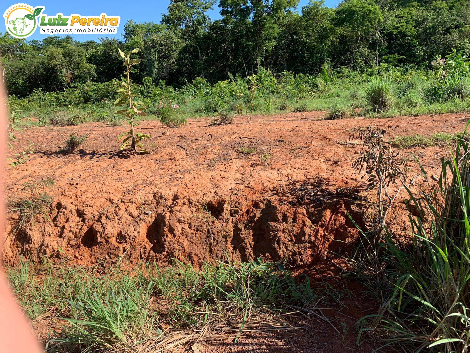 Fazenda à venda, 6790000m² - Foto 13