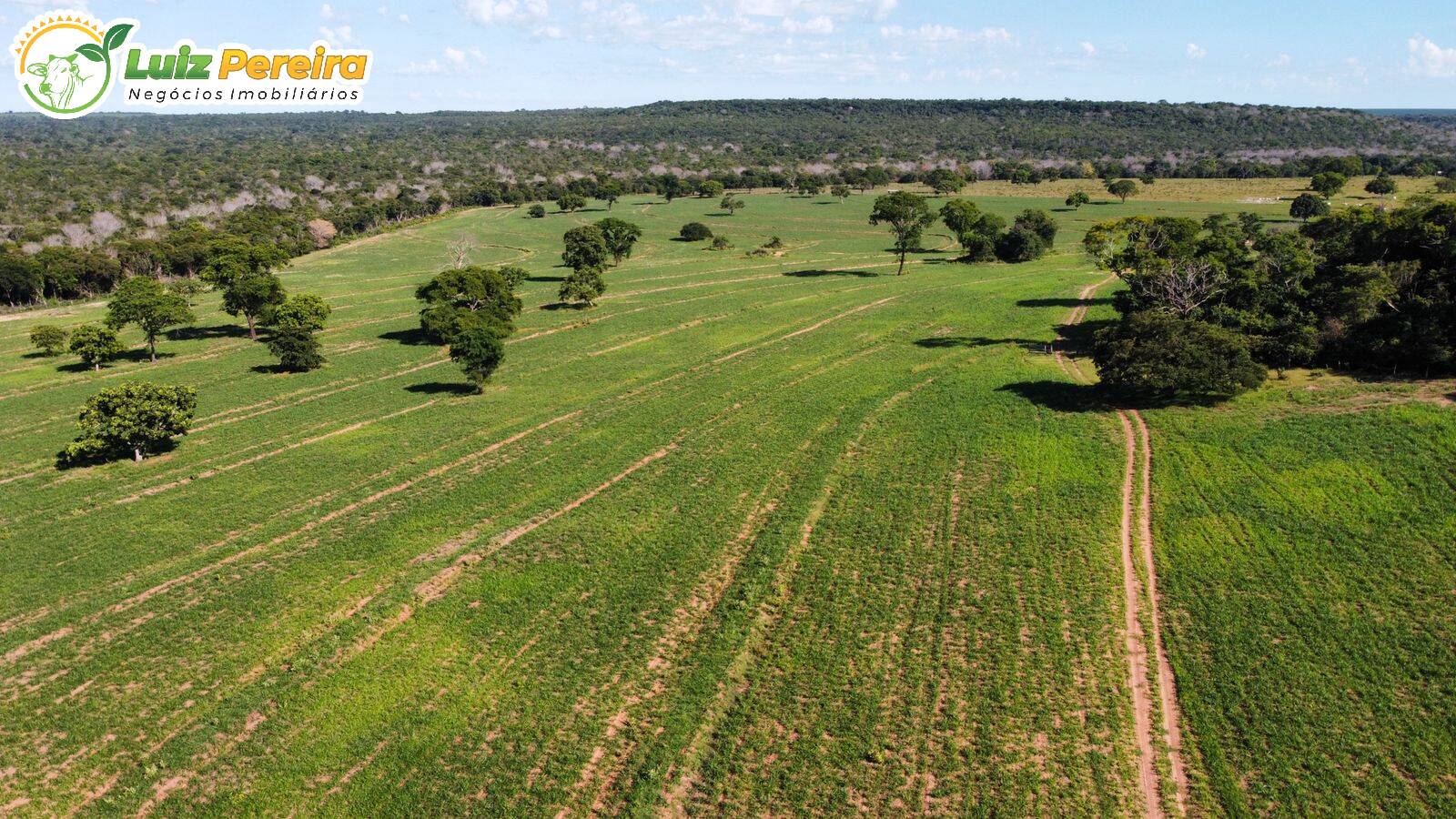 Fazenda à venda, 6790000m² - Foto 4