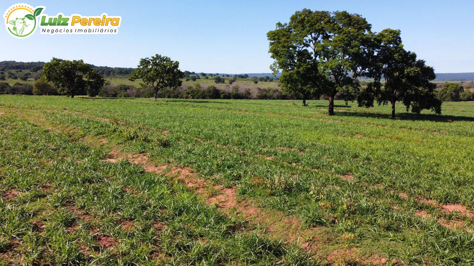 Fazenda à venda, 6790000m² - Foto 7