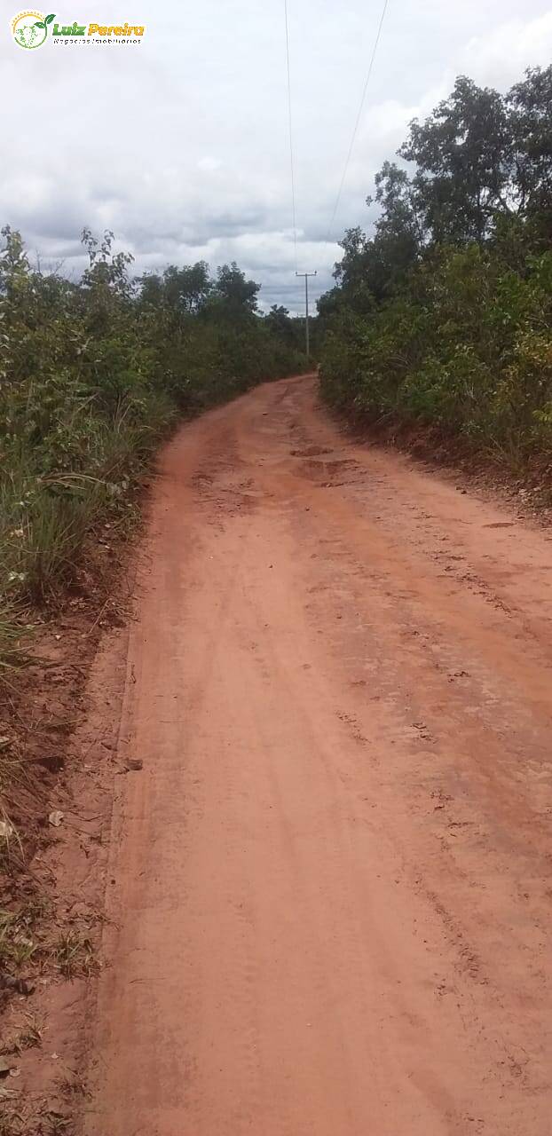 Fazenda à venda, 9310000m² - Foto 6