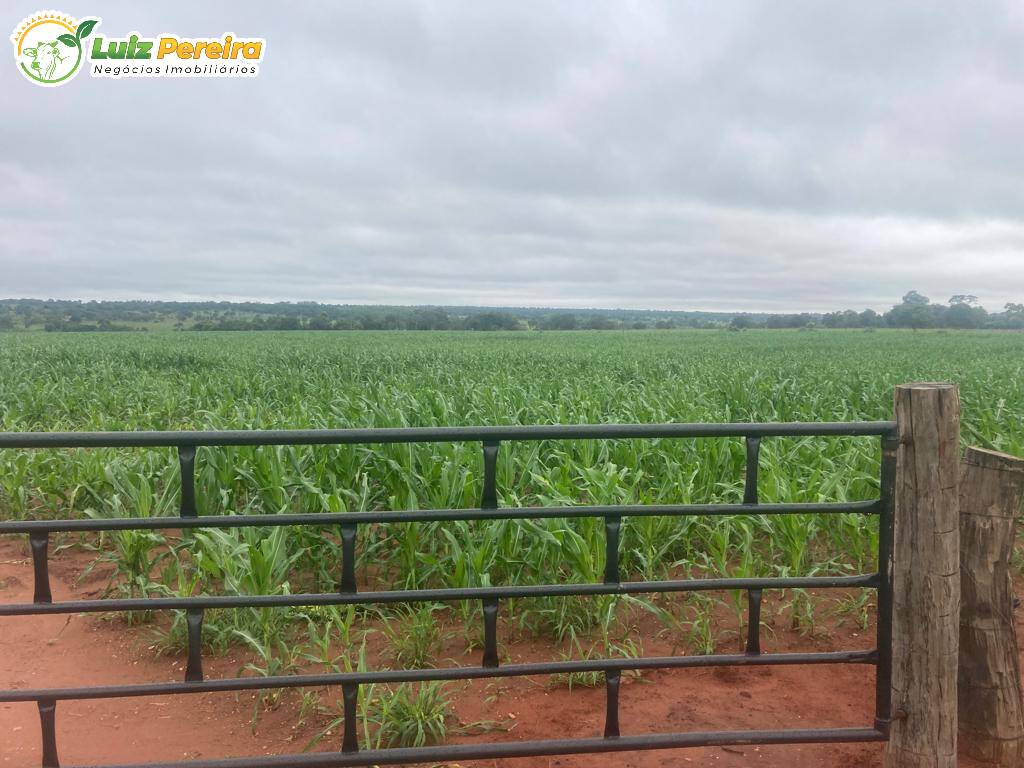 Fazenda à venda, 900000m² - Foto 9