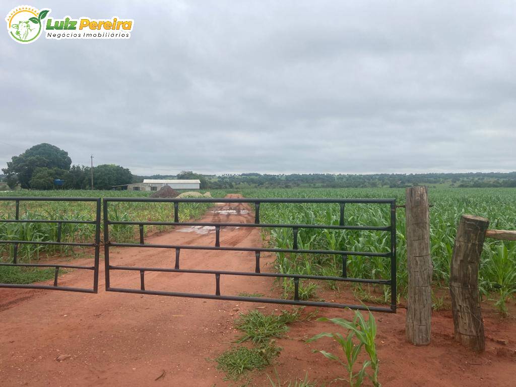 Fazenda à venda, 900000m² - Foto 10