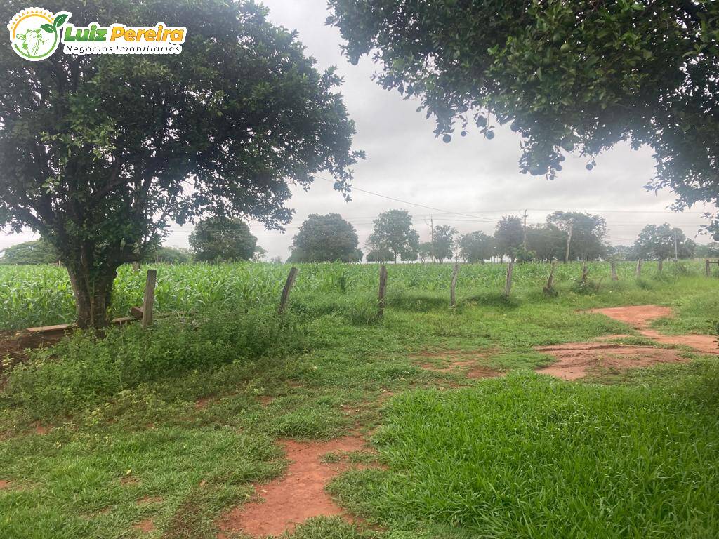 Fazenda à venda, 900000m² - Foto 1