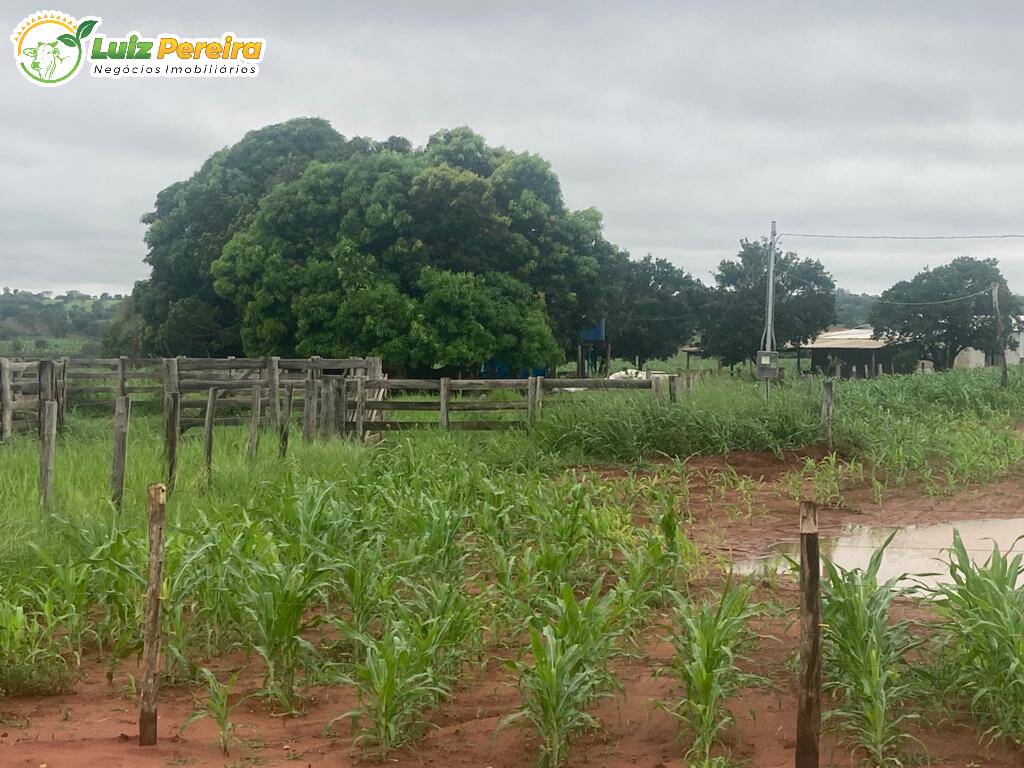 Fazenda à venda, 900000m² - Foto 12