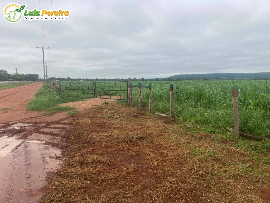 Fazenda à venda, 900000m² - Foto 13