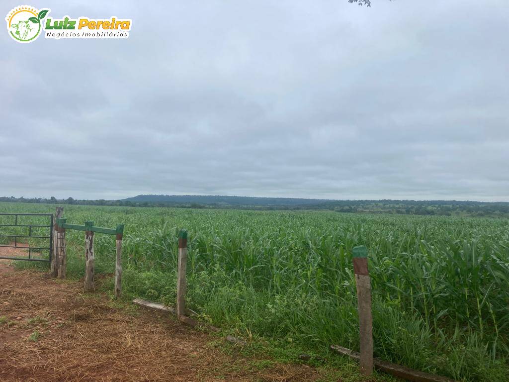 Fazenda à venda, 900000m² - Foto 2