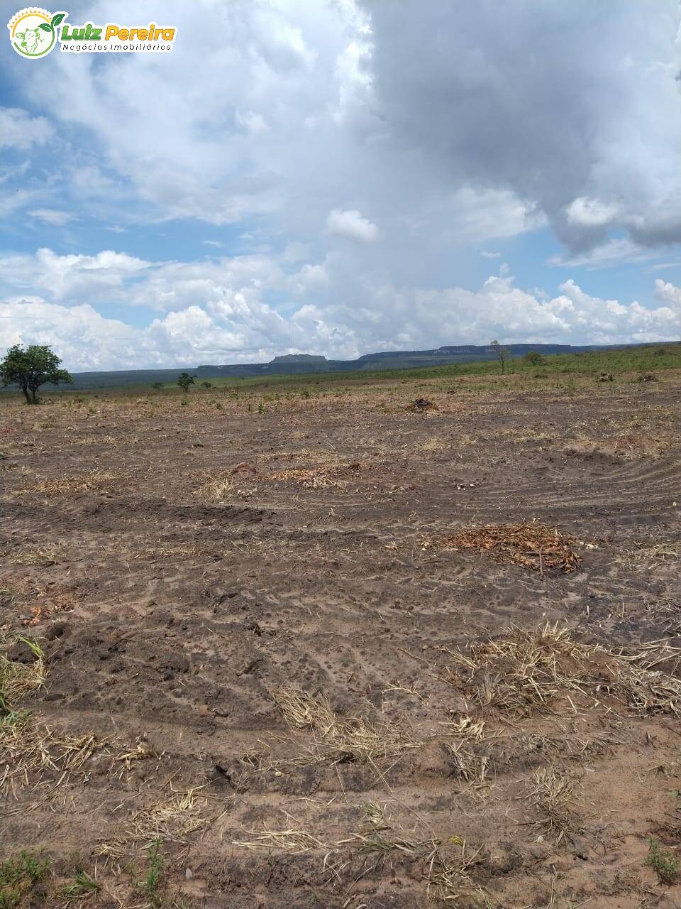 Fazenda à venda, 17130000m² - Foto 5