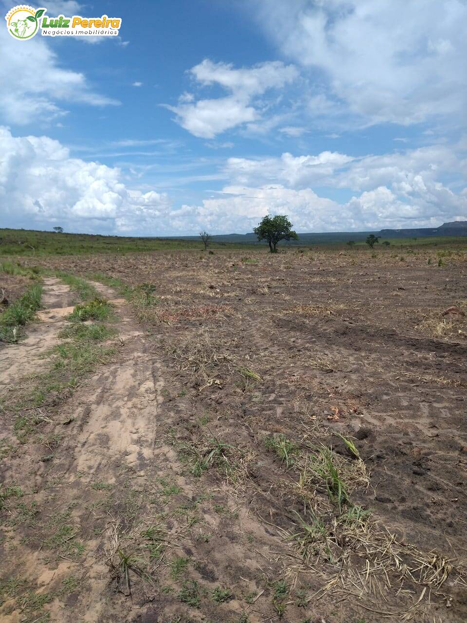 Fazenda à venda, 17130000m² - Foto 6